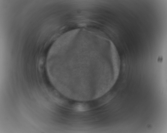 X0000113950275200910161947