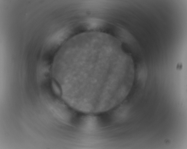 X0000113950276200910161947