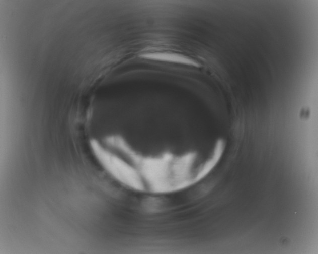 X0000113950277200910161947