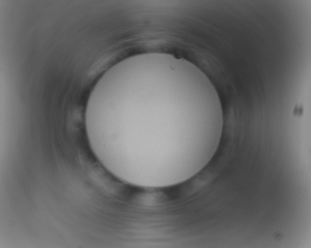 X0000113950278200910161947