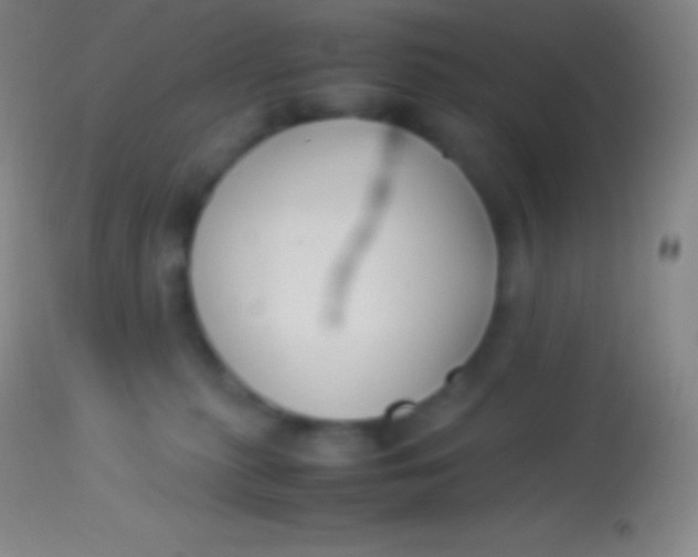 X0000113950279200910161947