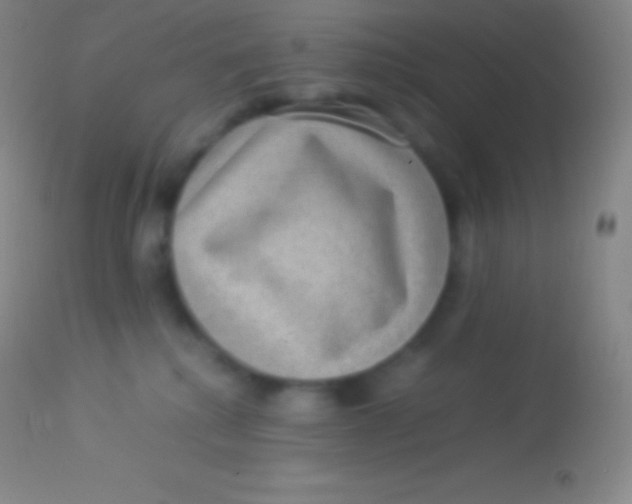X0000113950280200910161947