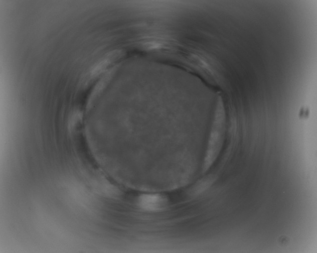 X0000113950281200910161947