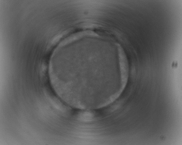 X0000113950282200910161947