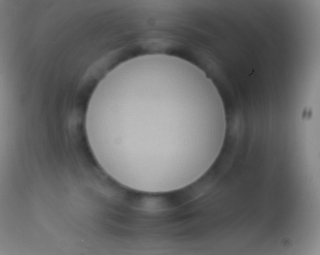 X0000113950283200910161947