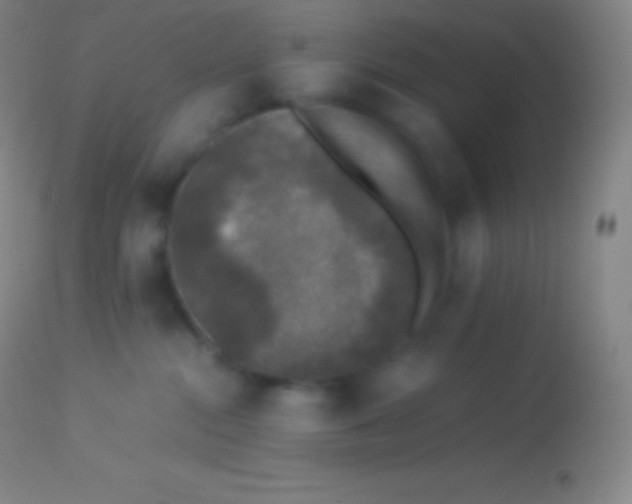 X0000113950284200910161947