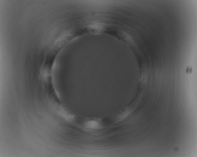 X0000113950285200910161947
