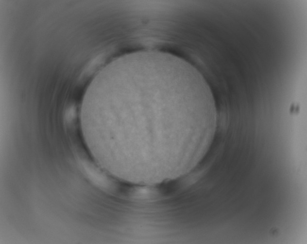 X0000113950286200910161947