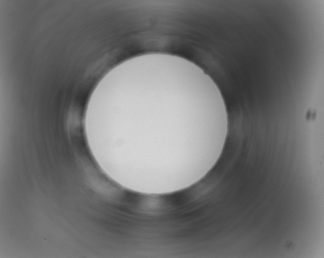 X0000113950287200910161947