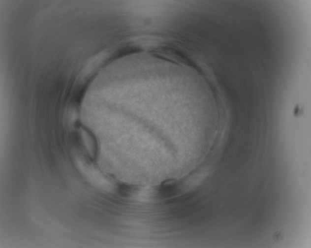 X0000113950288200910161947
