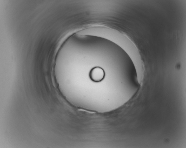 X0000113950289200910161946
