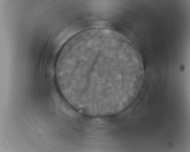 X0000113950290200910161946
