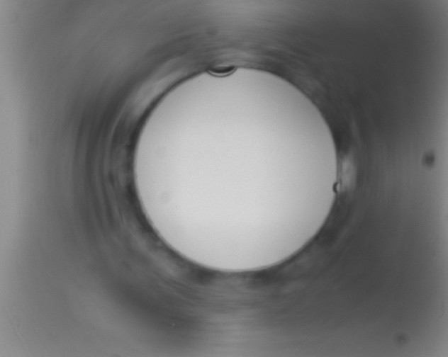 X0000113950291200910161946