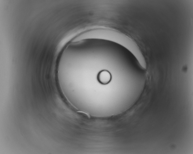 X0000113950292200910161946