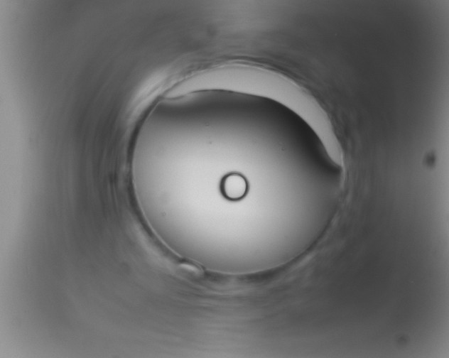 X0000113950293200910161946