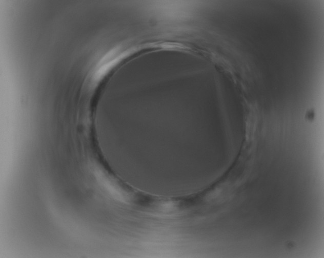X0000113950295200910161946