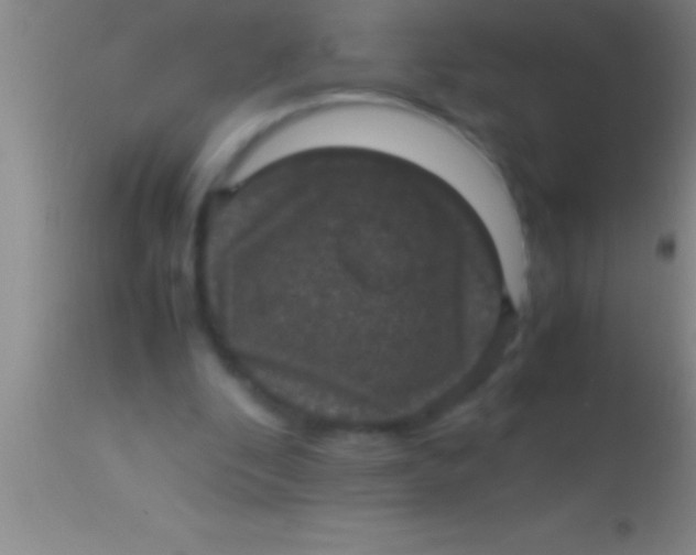 X0000113950296200910161946