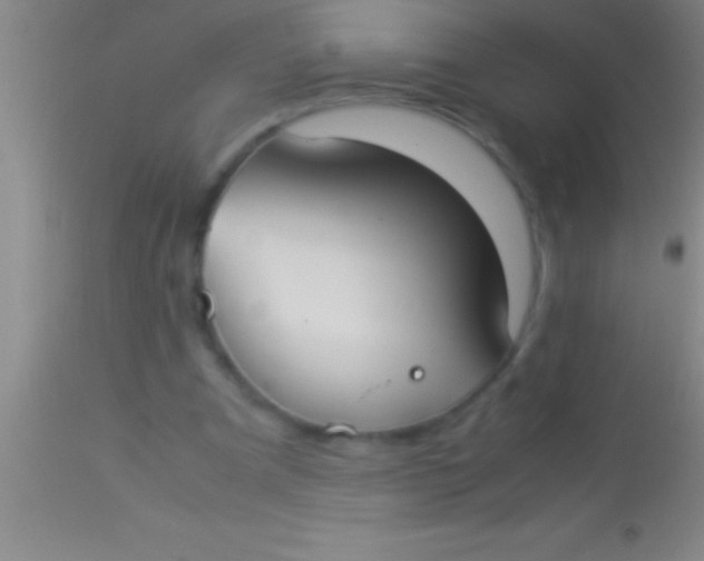 X0000113950297200910161946