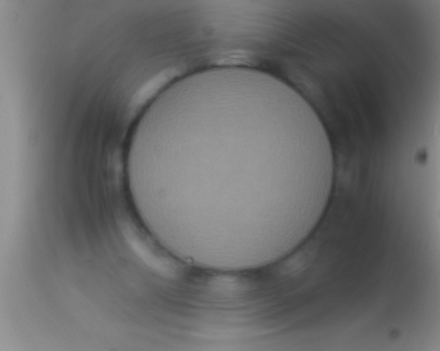 X0000113950298200910161946