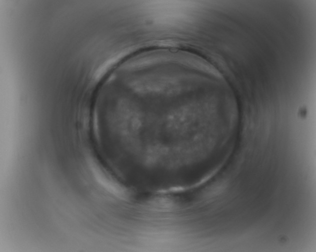 X0000113950299200910161946