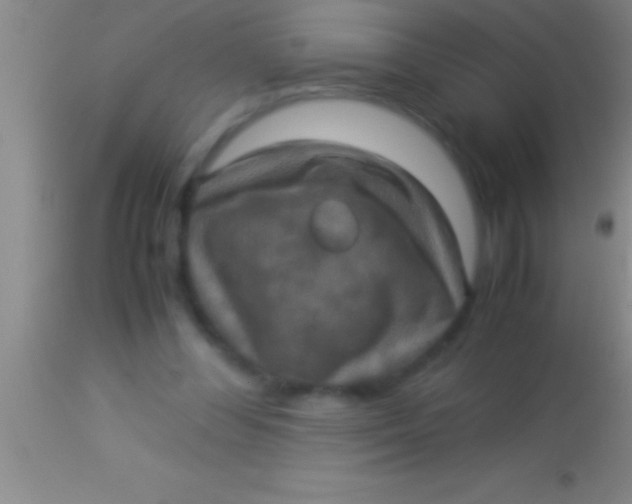 X0000113950300200910161946