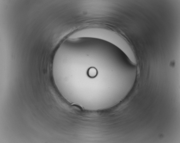 X0000113950301200910161946