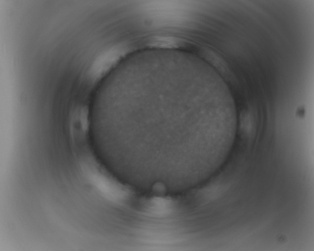 X0000113950302200910161946