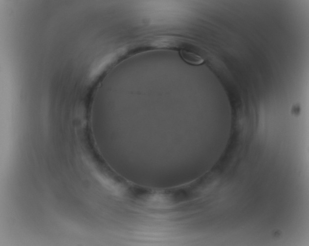 X0000113950303200910161946