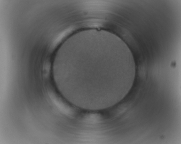 X0000113950304200910161946