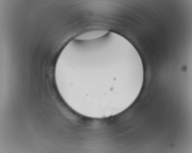 X0000113950305200910161946
