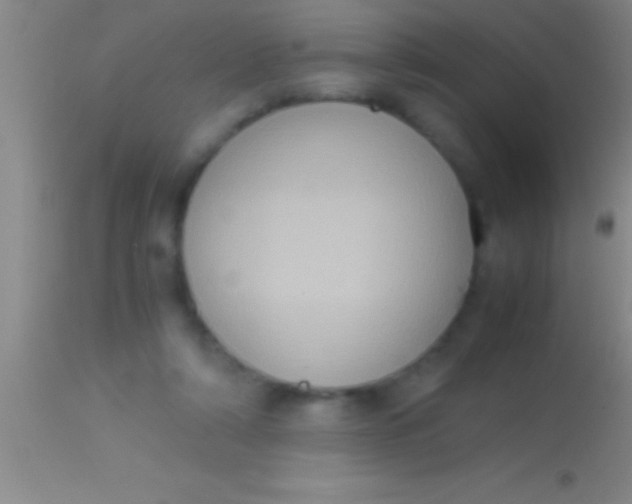 X0000113950306200910161946