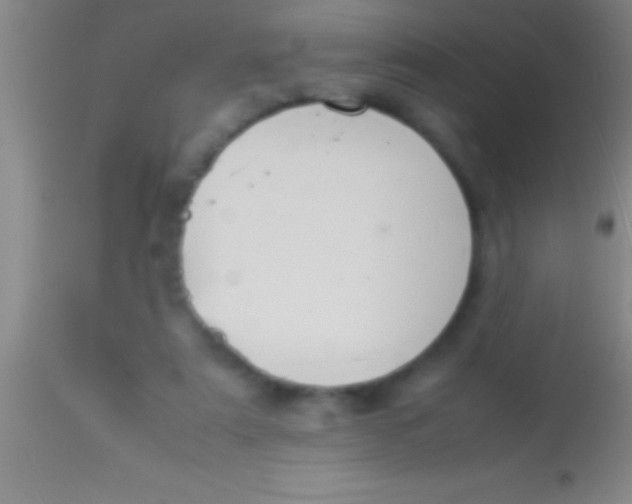 X0000113950307200910161946