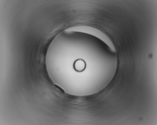 X0000113950308200910161946