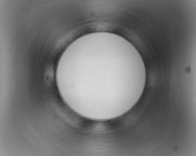 X0000113950310200910161946
