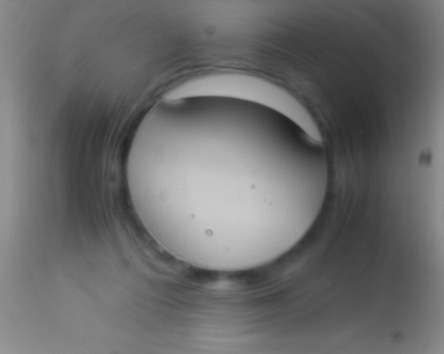 X0000113950312200910161946
