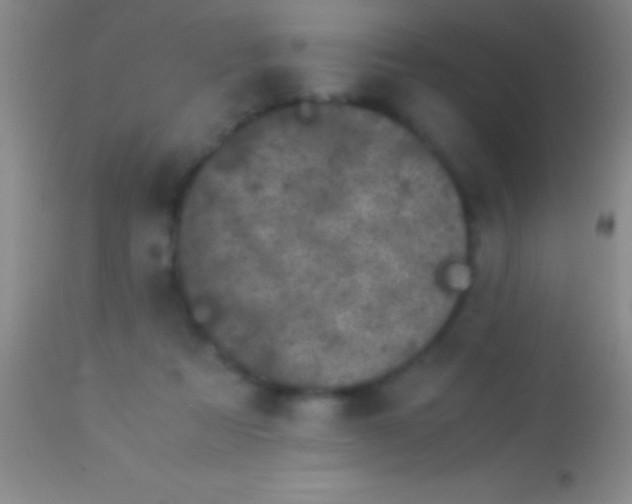 X0000113950313200910161946