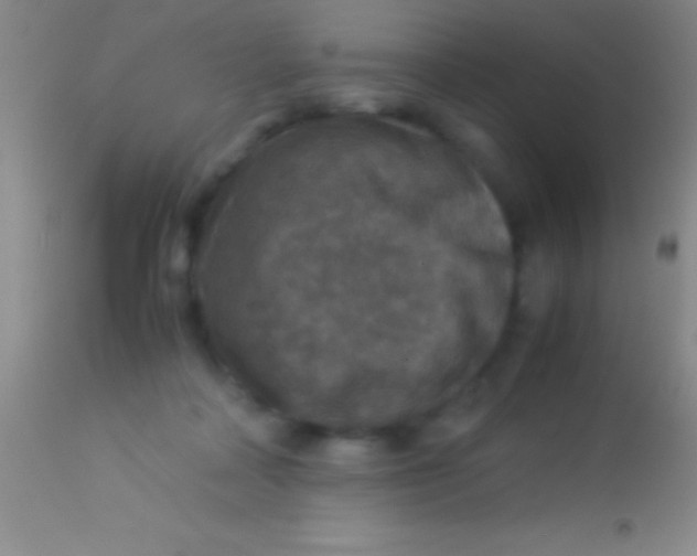 X0000113950314200910161946