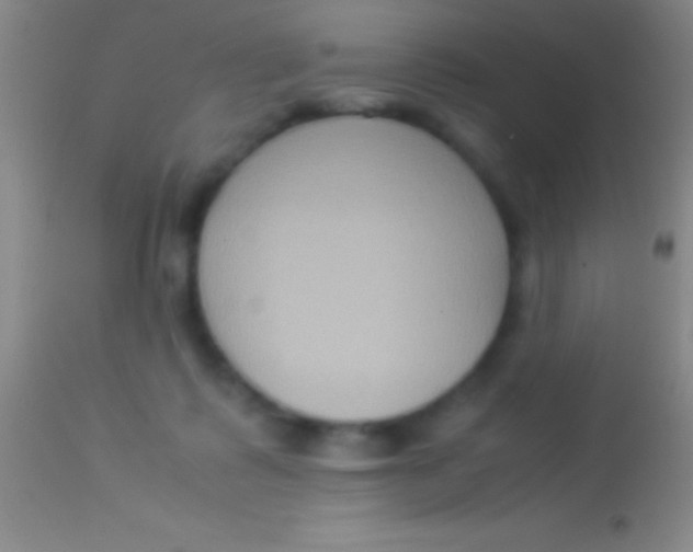 X0000113950315200910161946
