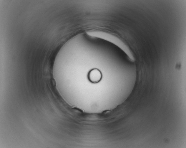 X0000113950316200910161946