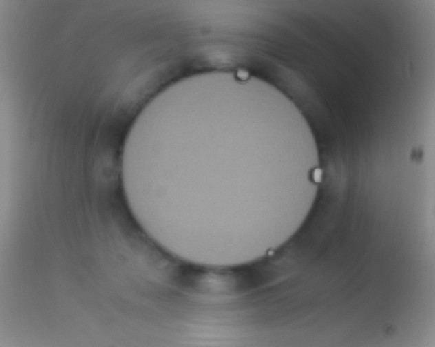 X0000113950317200910161945
