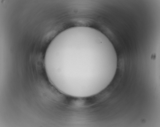 X0000113950318200910161945