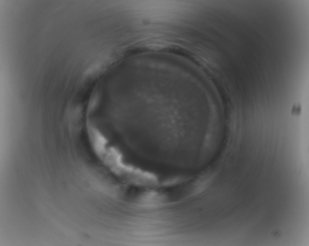 X0000113950319200910161945