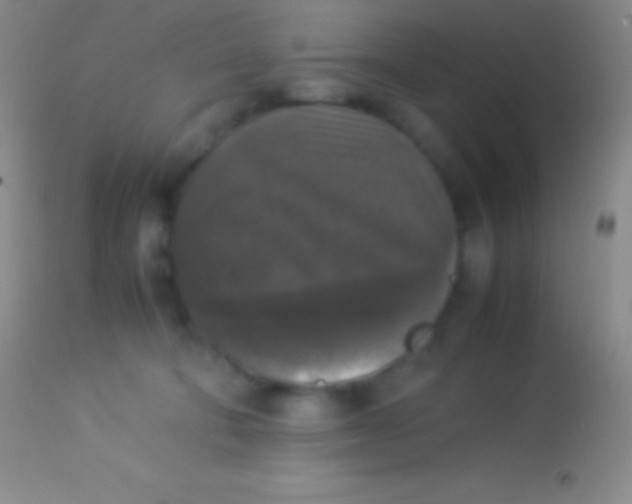 X0000113950322200910161945