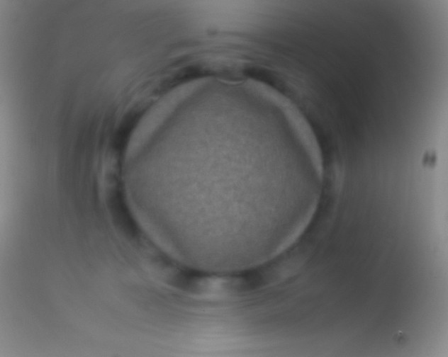 X0000113950323200910161945