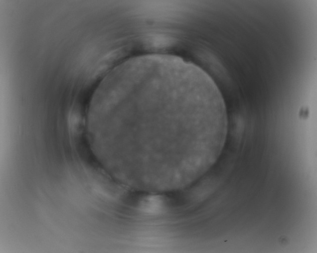 X0000113950324200910161945