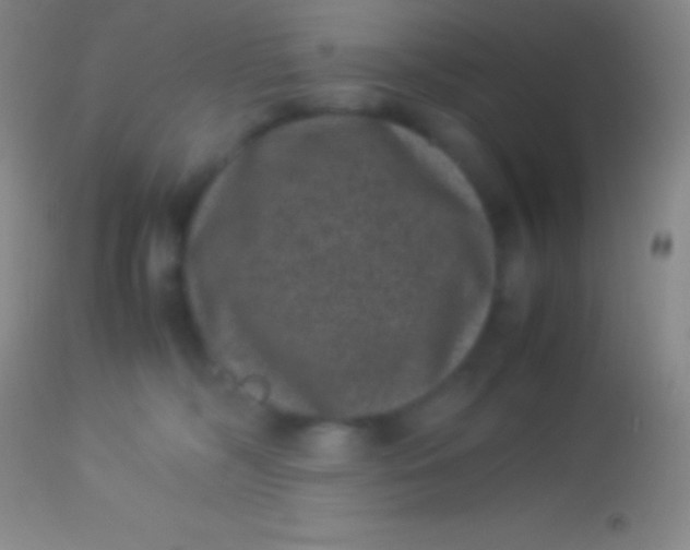 X0000113950326200910161945