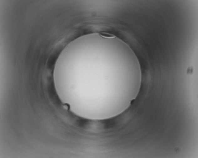 X0000113950327200910161945