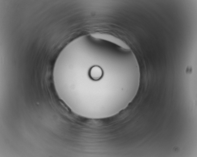 X0000113950328200910161945