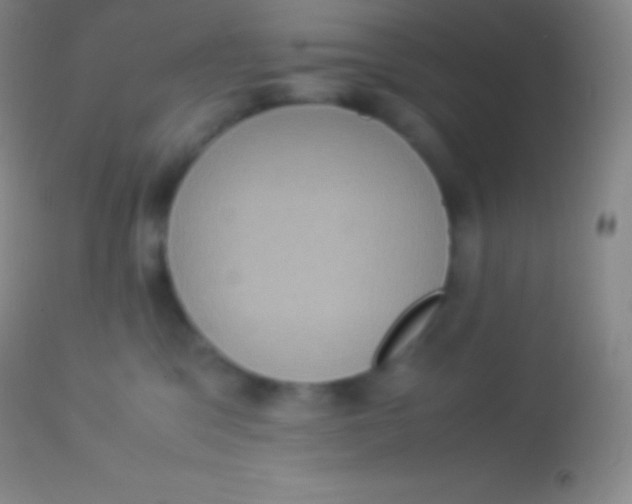 X0000113950329200910161945