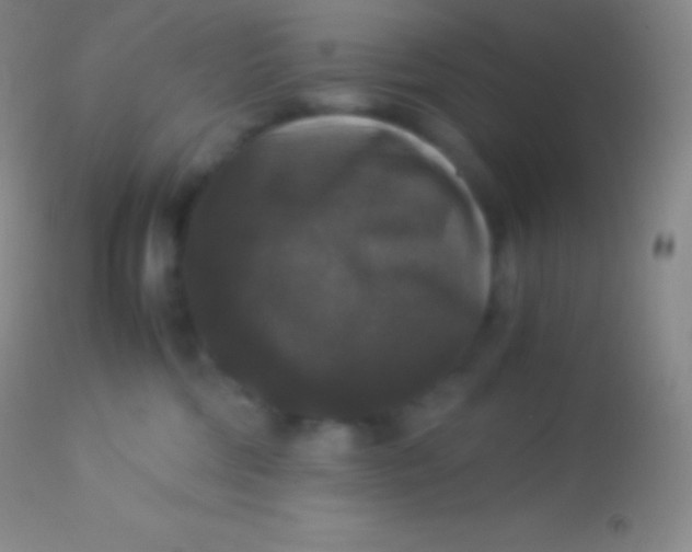 X0000113950330200910161945